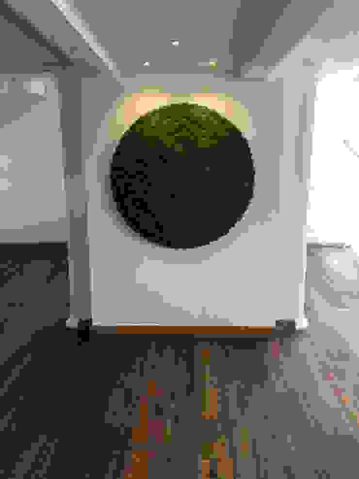 ทันสมัย  โดย Design Manufaktur GmbH, โมเดิร์น   