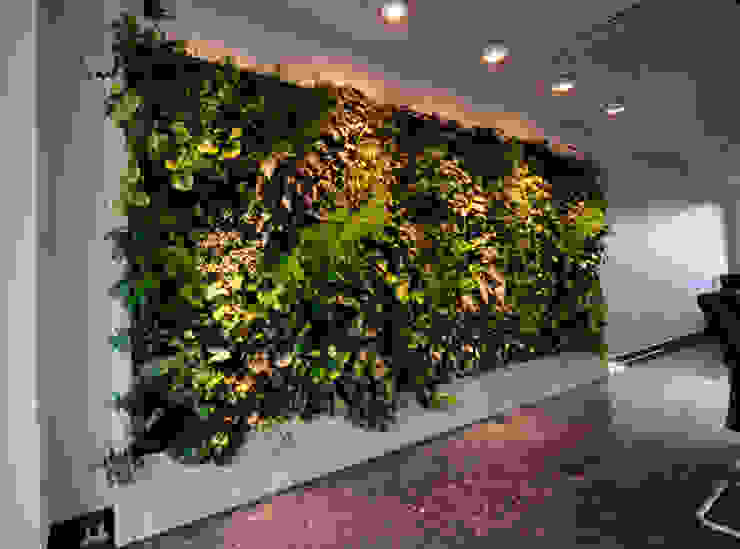 ทันสมัย  โดย Design Manufaktur GmbH, โมเดิร์น   