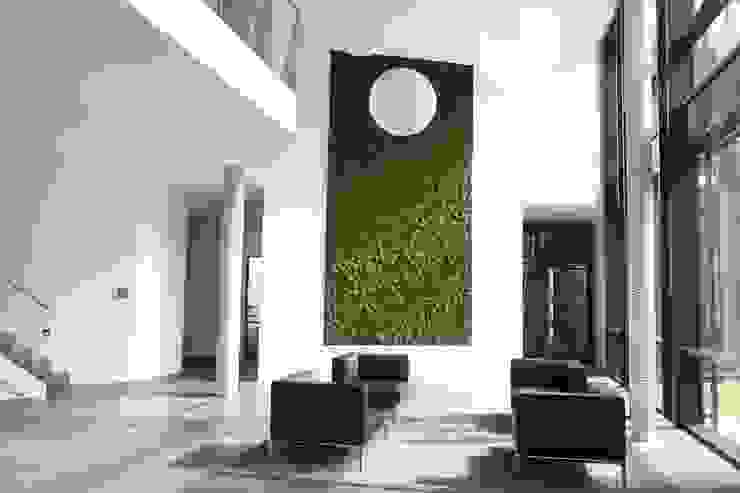 ทันสมัย  โดย Design Manufaktur GmbH, โมเดิร์น   