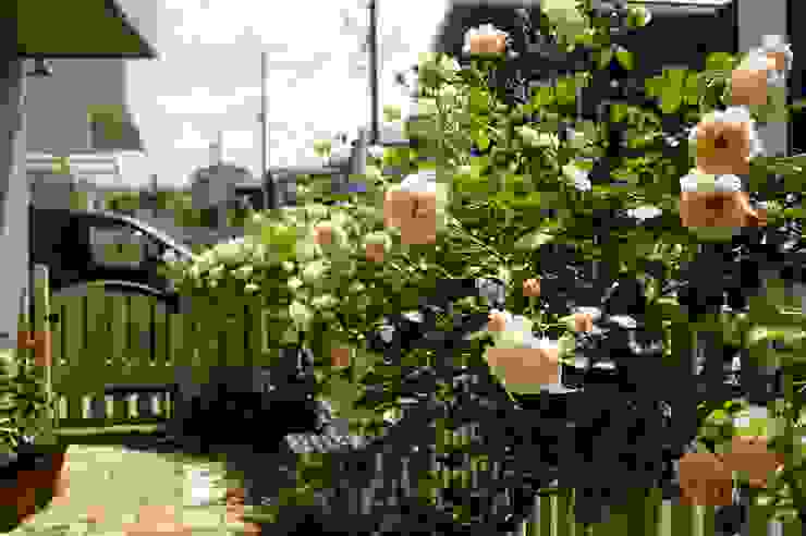 白いアメリカン フェンスとローズガーデン White Woodfence Rosegarden Homify