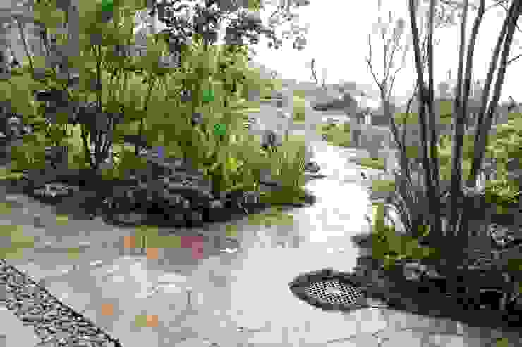 葉山M邸 庭のクニフジ สวน
