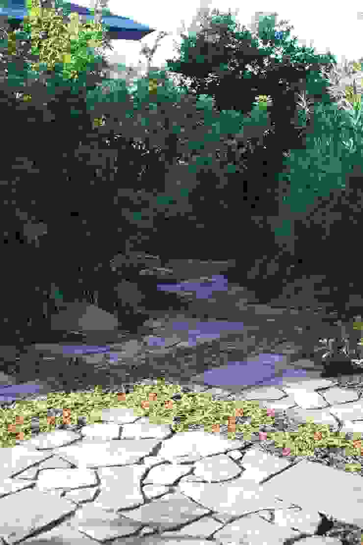 葉山M邸 庭のクニフジ สวน
