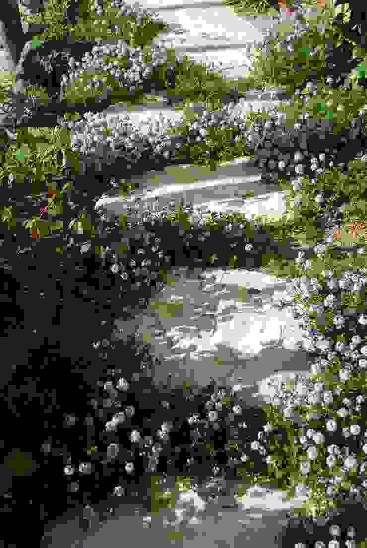 Piccolo angolo di Paradiso por Giardini Giordani homify