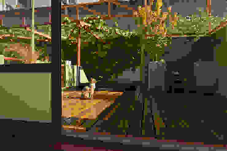 Pop Arq Minimalist style garden