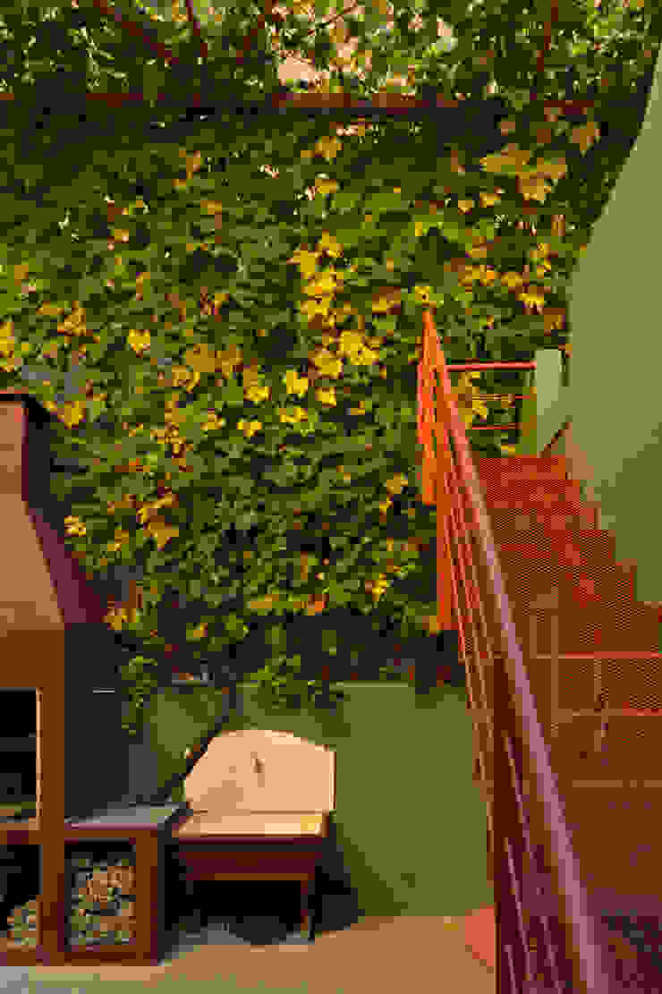 Pop Arq Minimalist style garden