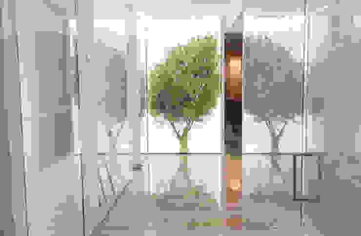 Centro Odontologico Valenciano By Ideas Interiorismo Exclusivo