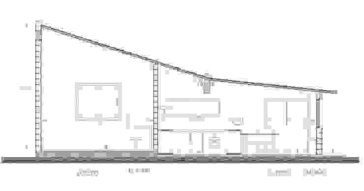 Estudio ZP