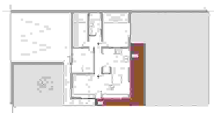 Estudio ZP