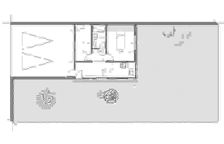 Estudio ZP
