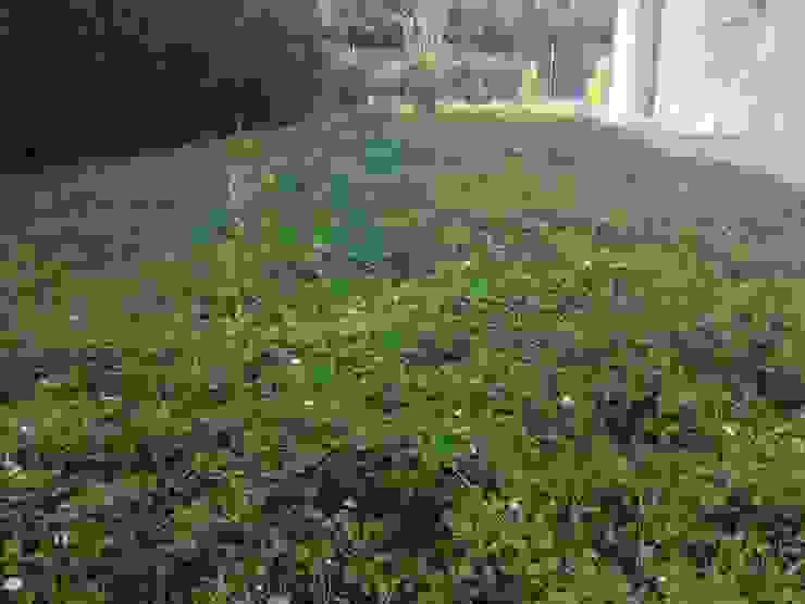 Contemporary garden GAAP Studio Giorgio Asciutti Architetto Paesaggista Giardino moderno