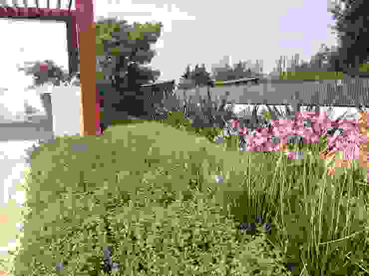 Contemporary garden GAAP Studio Giorgio Asciutti Architetto Paesaggista Giardino moderno