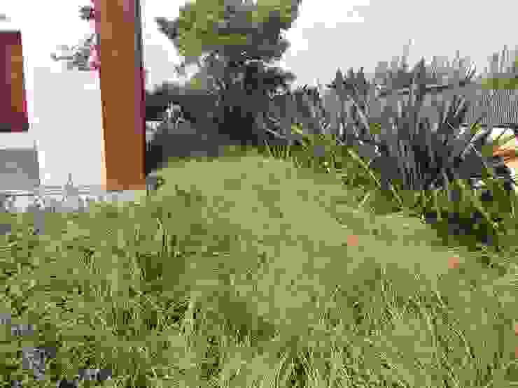 Contemporary garden GAAP Studio Giorgio Asciutti Architetto Paesaggista Giardino moderno
