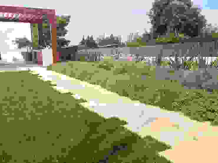 Contemporary garden GAAP Studio Giorgio Asciutti Architetto Paesaggista Giardino moderno
