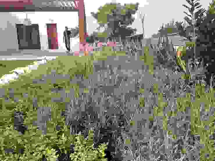 Contemporary garden GAAP Studio Giorgio Asciutti Architetto Paesaggista Giardino moderno