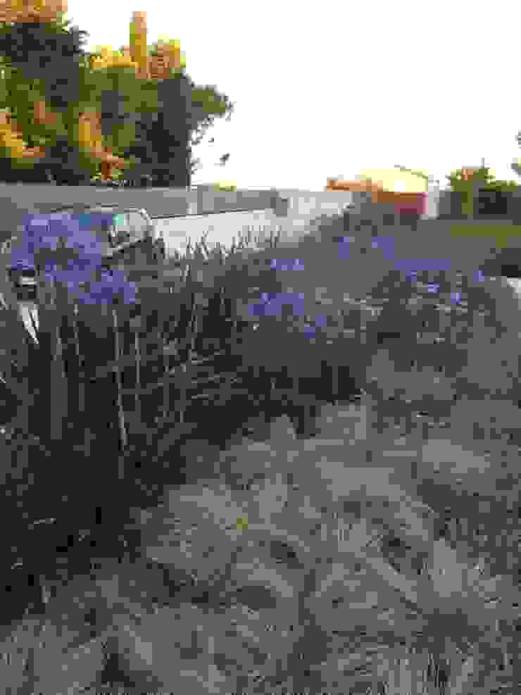 Contemporary garden GAAP Studio Giorgio Asciutti Architetto Paesaggista Giardino moderno