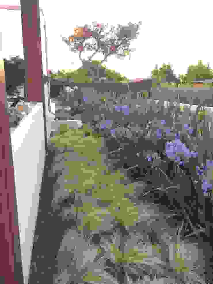 Contemporary garden GAAP Studio Giorgio Asciutti Architetto Paesaggista Giardino moderno