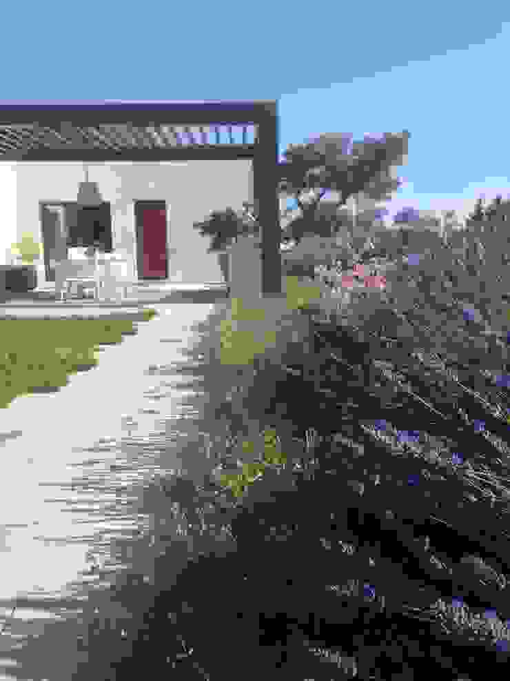 Contemporary garden GAAP Studio Giorgio Asciutti Architetto Paesaggista Giardino moderno