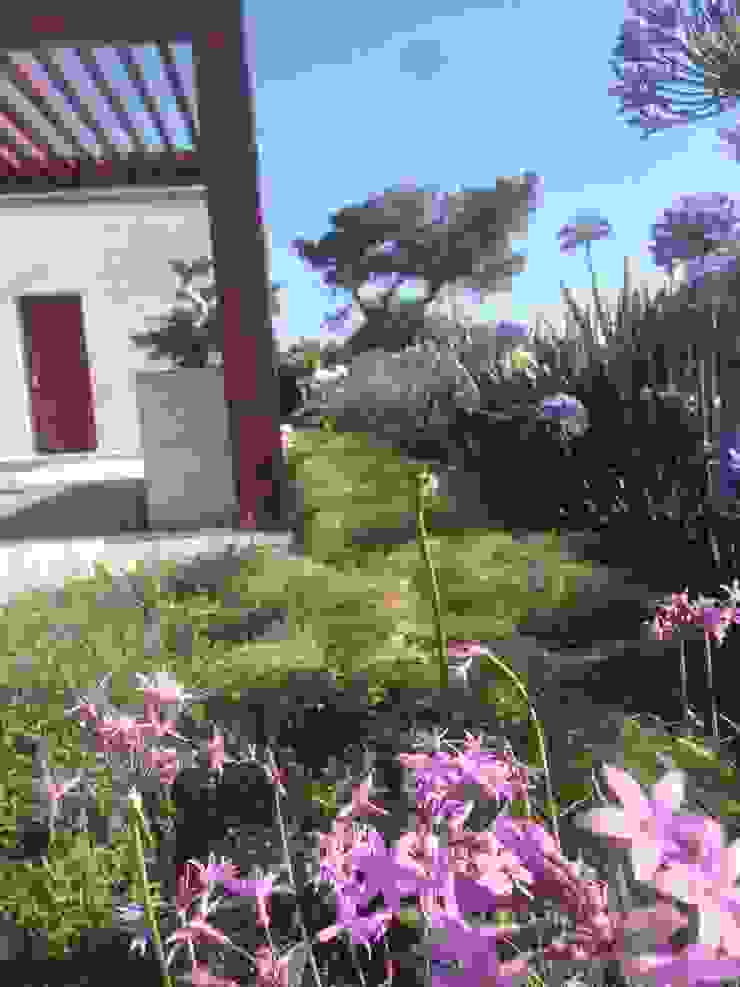 Contemporary garden GAAP Studio Giorgio Asciutti Architetto Paesaggista Giardino moderno