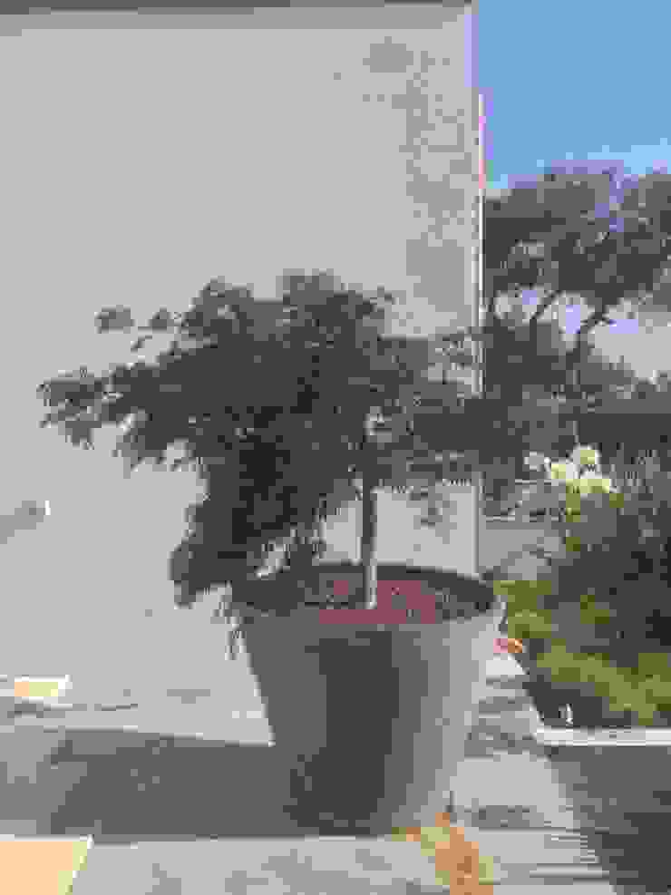 Contemporary garden GAAP Studio Giorgio Asciutti Architetto Paesaggista Giardino moderno