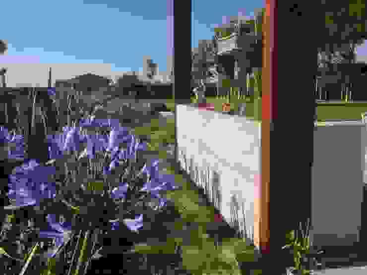 Contemporary garden GAAP Studio Giorgio Asciutti Architetto Paesaggista Giardino moderno