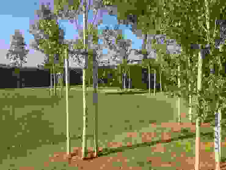 Contemporary garden GAAP Studio Giorgio Asciutti Architetto Paesaggista Giardino moderno