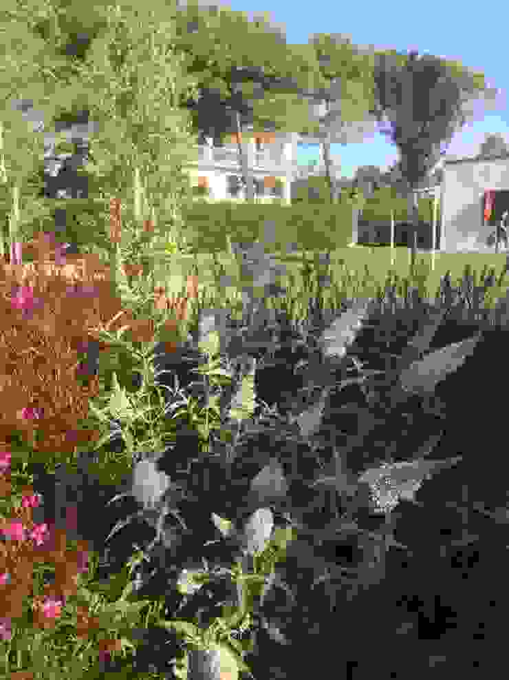 Contemporary garden GAAP Studio Giorgio Asciutti Architetto Paesaggista Giardino moderno