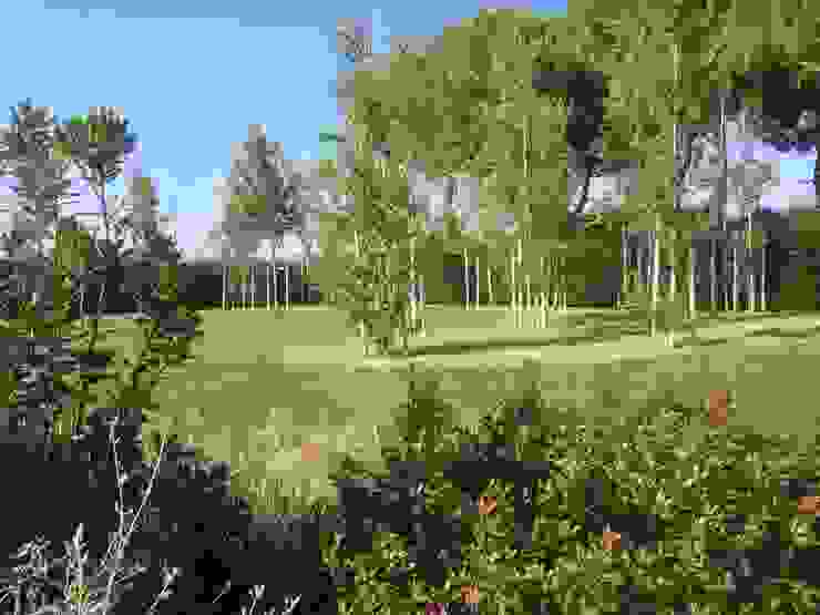 Contemporary garden GAAP Studio Giorgio Asciutti Architetto Paesaggista Giardino moderno
