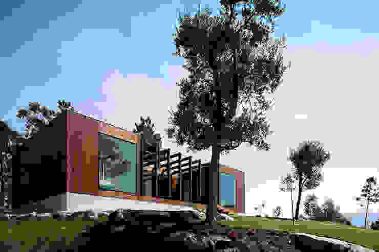 Treehouse Douro, Jular Madeiras Jular Madeiras منازل خشب Wood effect