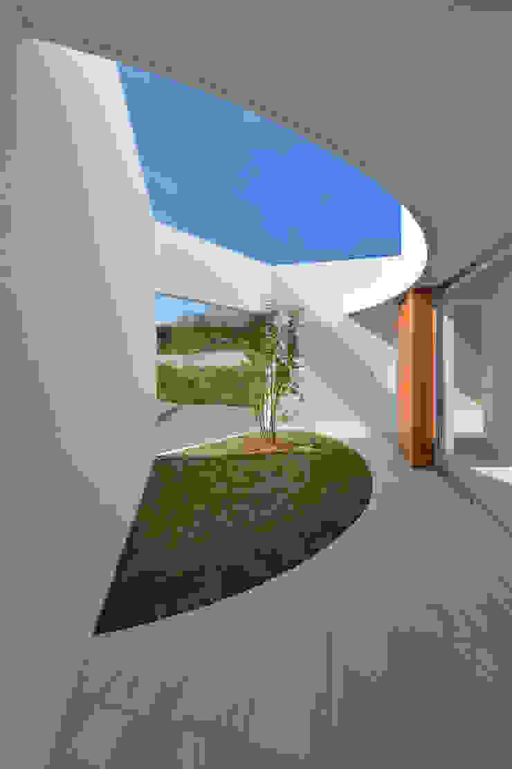 ODMR-HOUSE, 門一級建築士事務所 門一級建築士事務所 Jardines modernos: Ideas, imágenes y decoración Azulejos Blanco