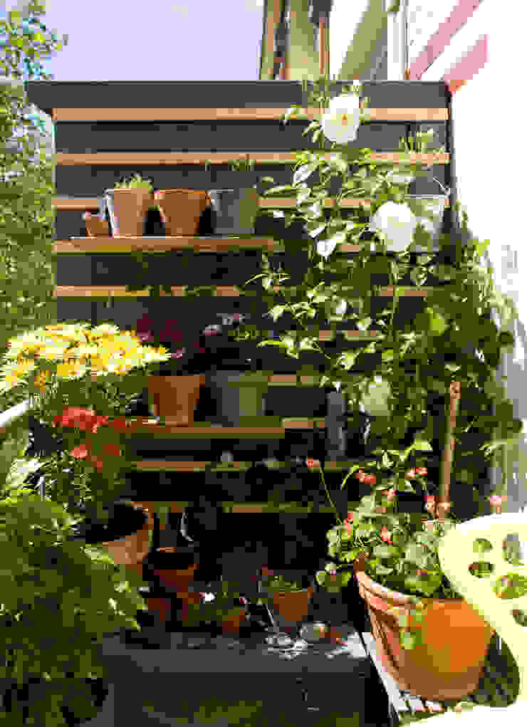 Balkonien studio jan homann Skandinavischer Balkon, Veranda & Terrasse Holz im Außenbereich,Podest,Balkon,Rankgitter,Pflanzenbord