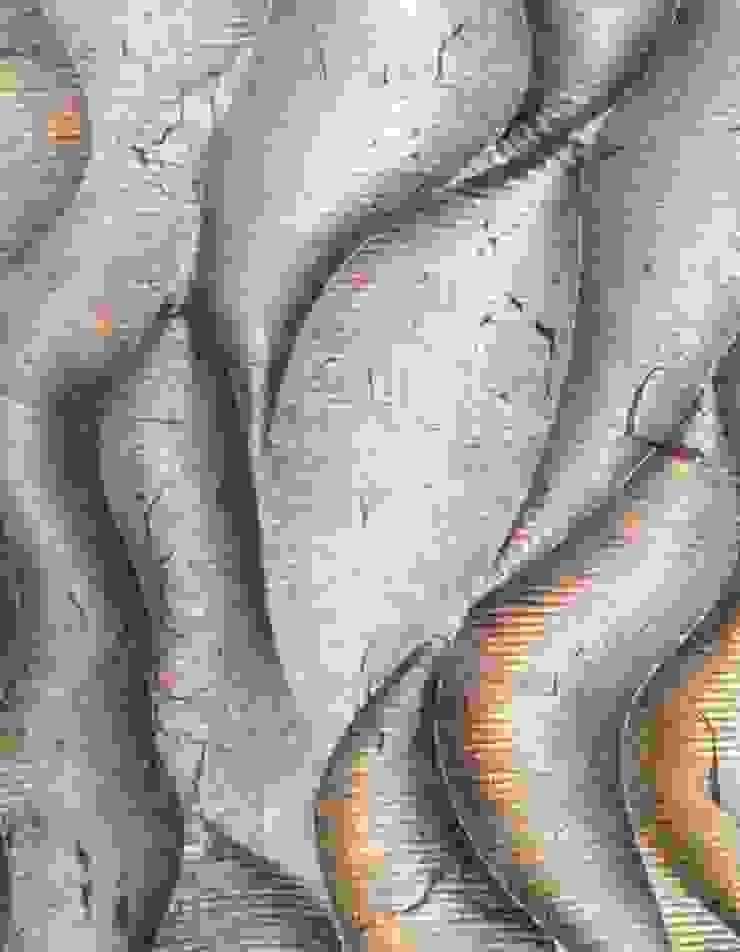 ทันสมัย  โดย Design Manufaktur GmbH, โมเดิร์น   