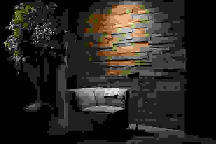 ทันสมัย  โดย Design Manufaktur GmbH, โมเดิร์น   