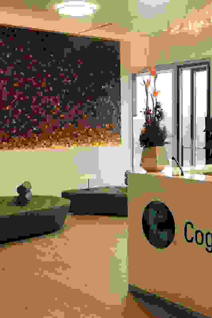 ทันสมัย  โดย Design Manufaktur GmbH, โมเดิร์น   