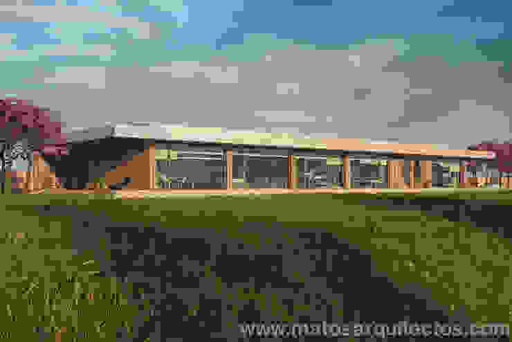 House by River side โดย Matos Architects โมเดิร์น ไม้จริง Multicolored