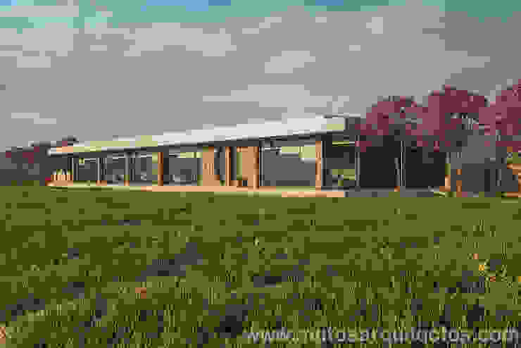 House by River side โดย Matos Architects โมเดิร์น ไม้จริง Multicolored