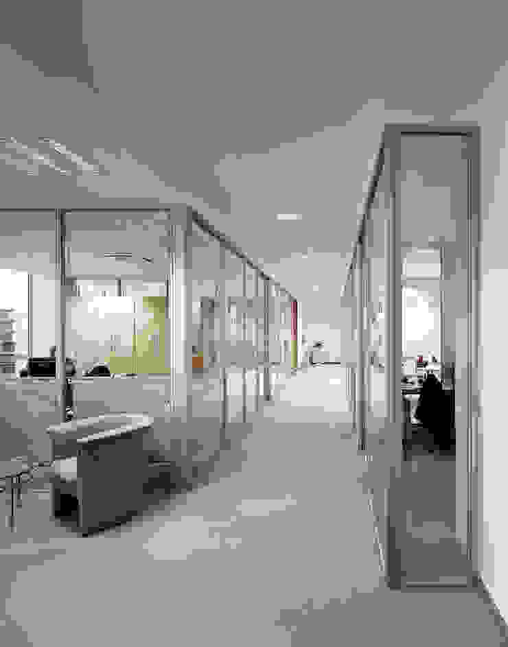 ทันสมัย  โดย Design Manufaktur GmbH, โมเดิร์น   