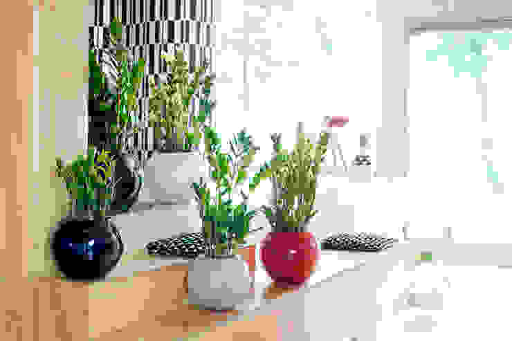 Die Zamioculcas – Zimmerplanze des Monats Juni 2016, Pflanzenfreude.de Pflanzenfreude.de Interior garden Interior landscaping