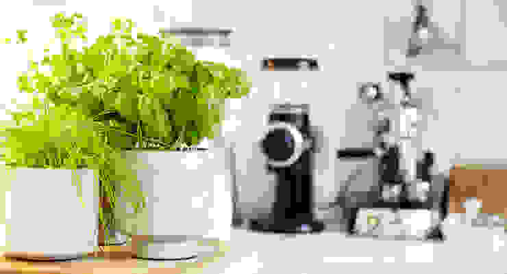 Ambientefoto Betontöpfe DEPARSO