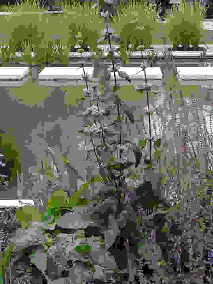 Donaupark Sigmaringen By Marcel Adam Landschaftsarchitekten Homify