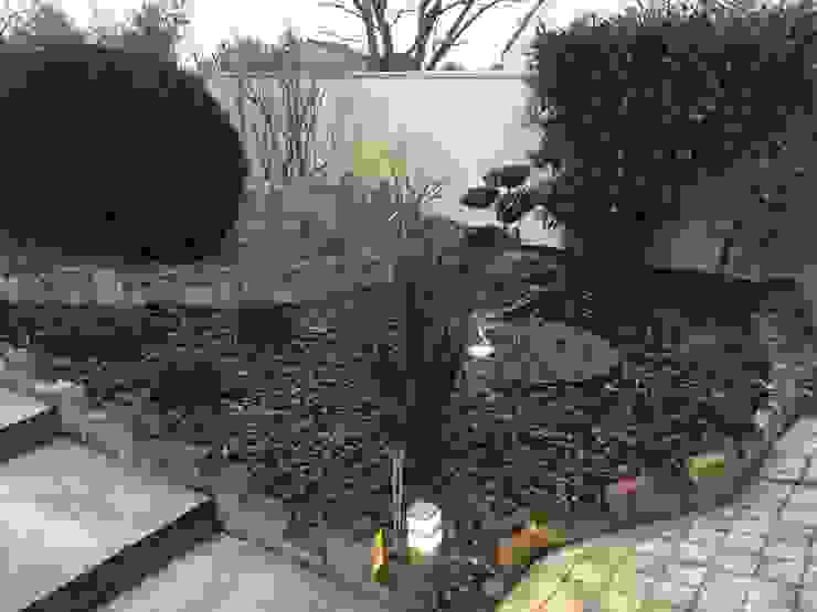 Jardin Moderne Sans Entretien Homify