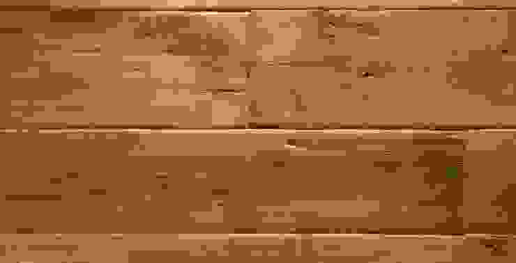 ทันสมัย  โดย Design Manufaktur GmbH, โมเดิร์น   