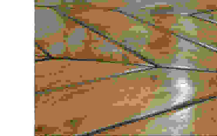 ทันสมัย  โดย Design Manufaktur GmbH, โมเดิร์น   