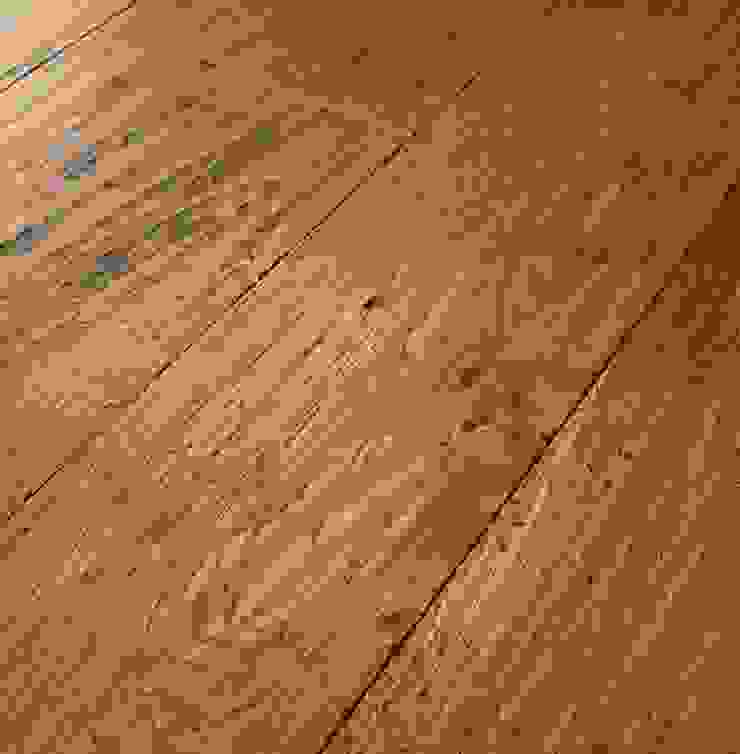 ทันสมัย  โดย Design Manufaktur GmbH, โมเดิร์น   