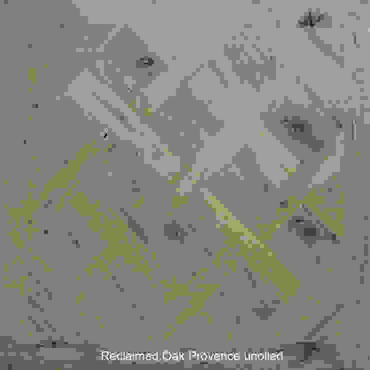 ทันสมัย  โดย Design Manufaktur GmbH, โมเดิร์น   