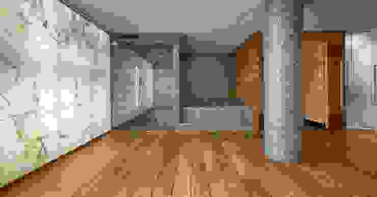 ทันสมัย  โดย Design Manufaktur GmbH, โมเดิร์น   