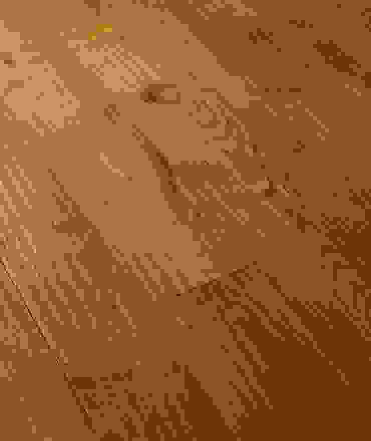 ทันสมัย  โดย Design Manufaktur GmbH, โมเดิร์น   