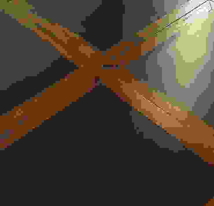 ทันสมัย  โดย Design Manufaktur GmbH, โมเดิร์น   