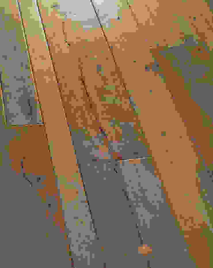 ทันสมัย  โดย Design Manufaktur GmbH, โมเดิร์น   