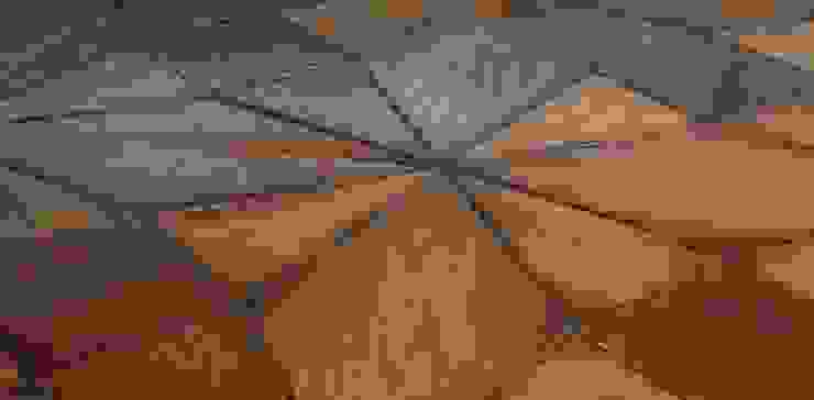 ทันสมัย  โดย Design Manufaktur GmbH, โมเดิร์น   