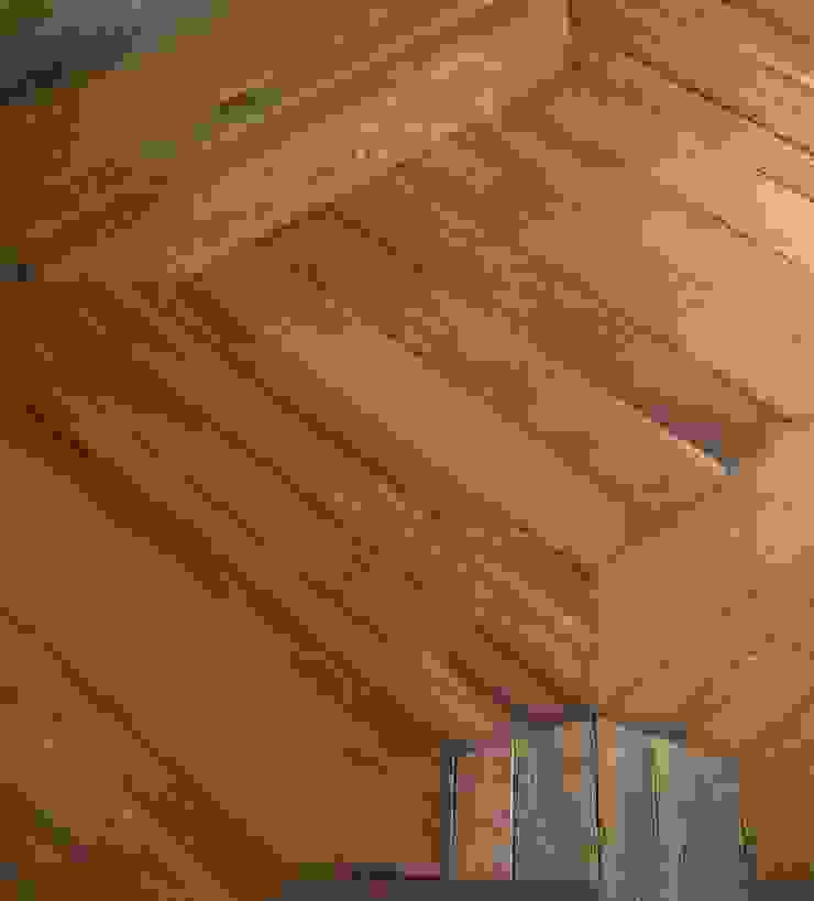 ทันสมัย  โดย Design Manufaktur GmbH, โมเดิร์น   